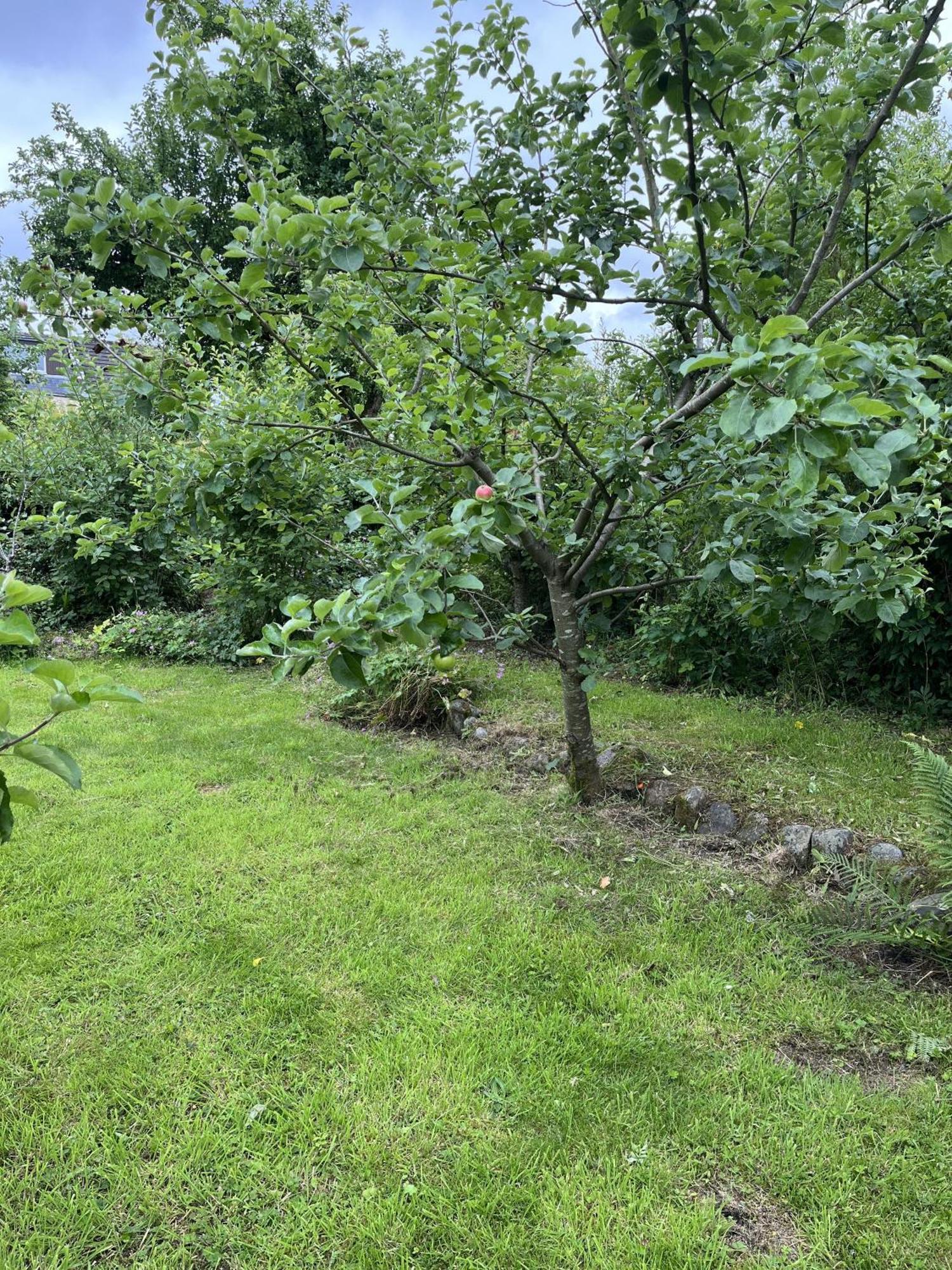 Apple Cottage Wigtown Exterior foto